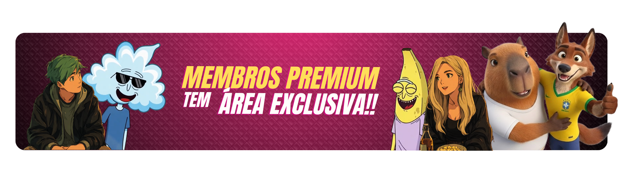 Banner Secundário